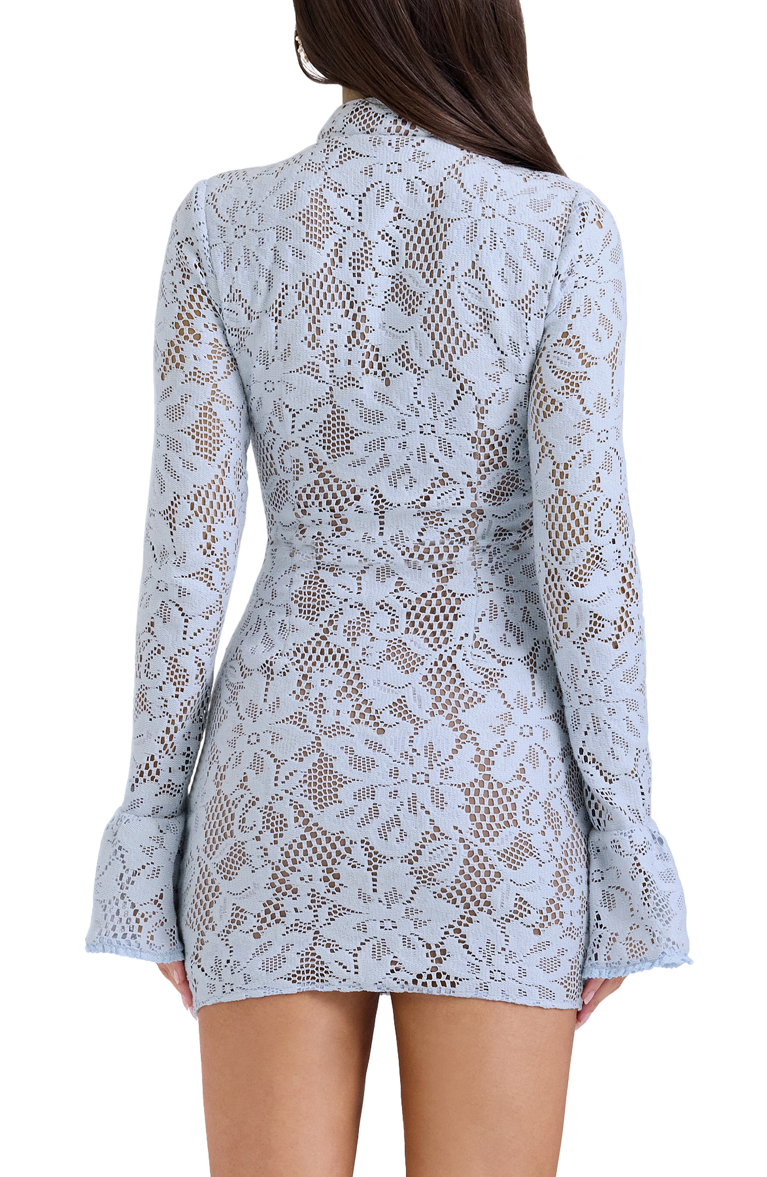 Bri Long Sleeve Lace Body-Con Minidress